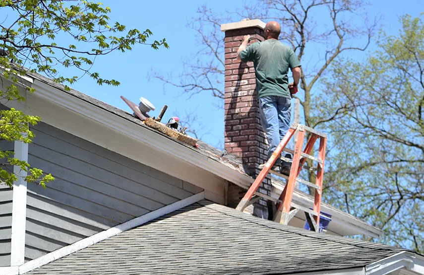 Chimney & Fireplace Inspections Services in Alpharetta, GA